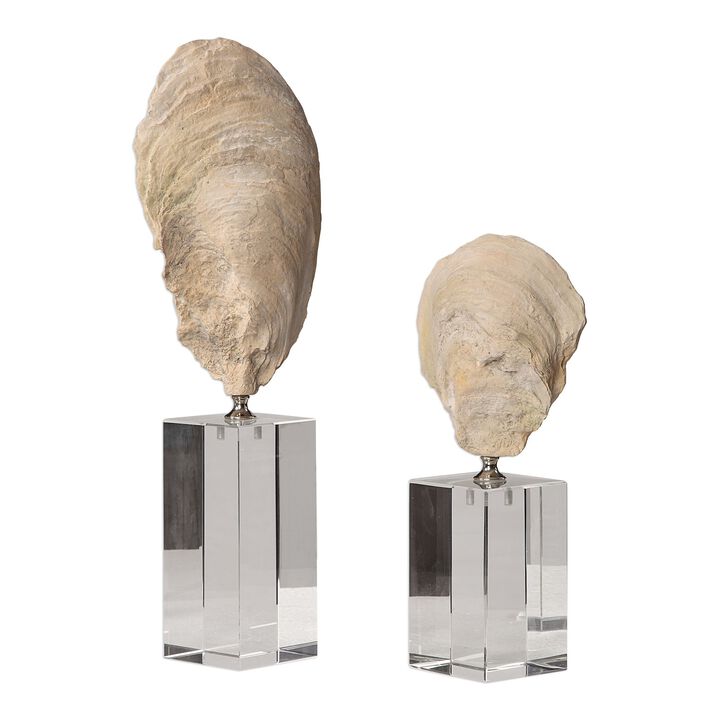 Uttermost Oyster Shell Sculptures, (Set of 2)